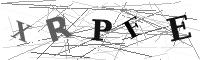 Please refresh your browser to see this image.